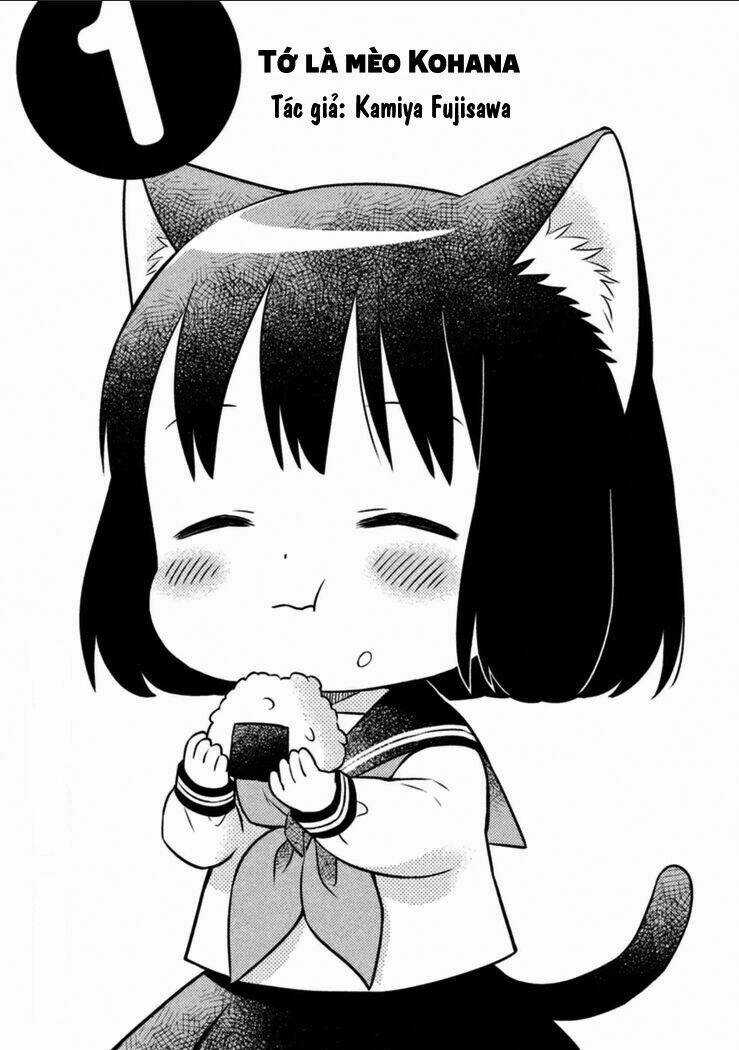 Tớ Là Mèo Kohana Chapter 1 trang 3