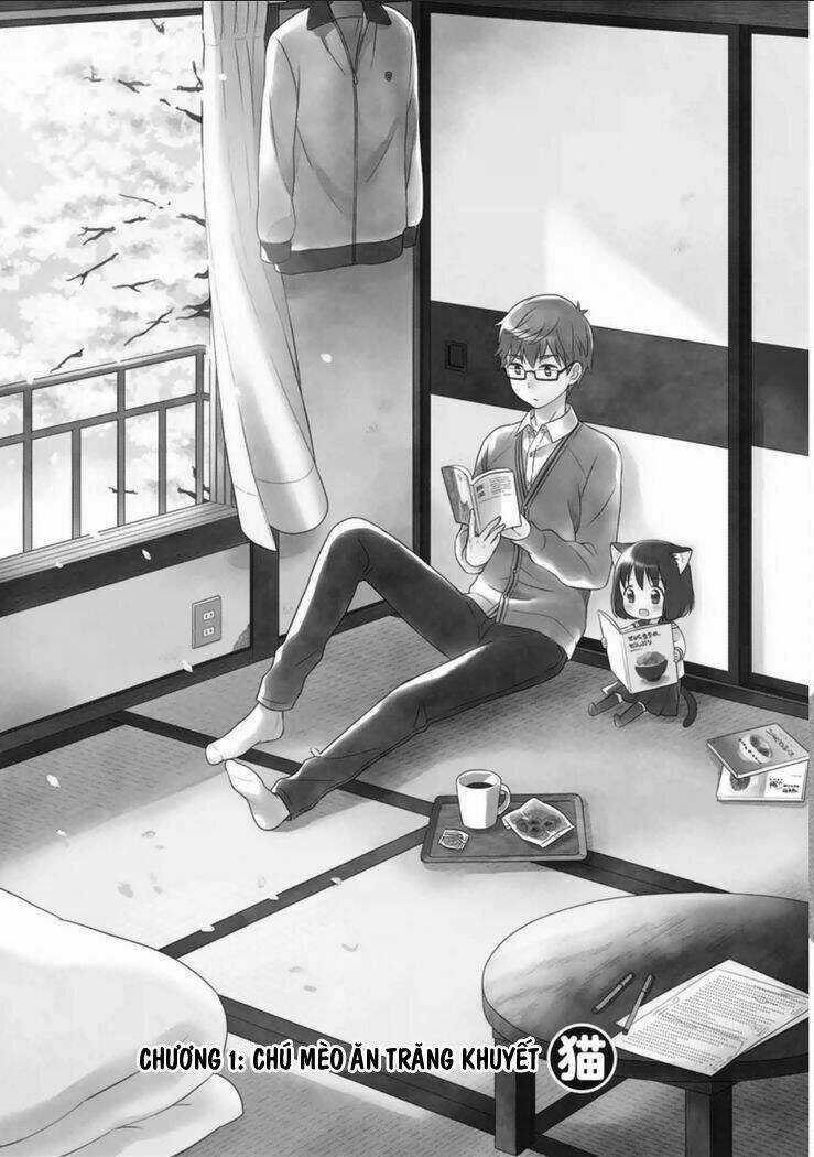 Tớ Là Mèo Kohana Chapter 1 trang 5