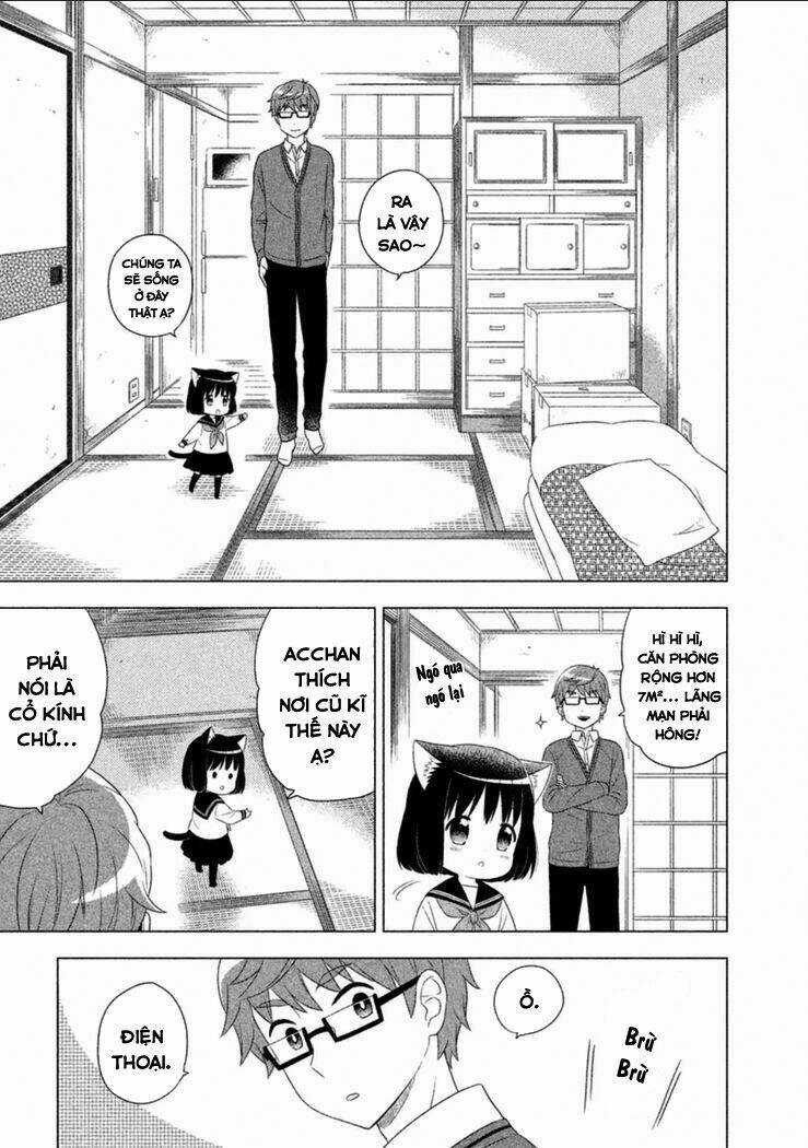 Tớ Là Mèo Kohana Chapter 1 trang 9