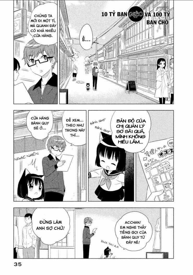 Tớ Là Mèo Kohana Chapter 3 trang 0