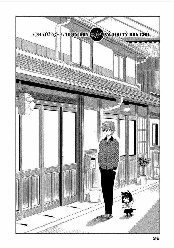 Tớ Là Mèo Kohana Chapter 3 trang 1