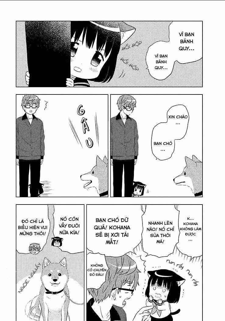 Tớ Là Mèo Kohana Chapter 3 trang 4