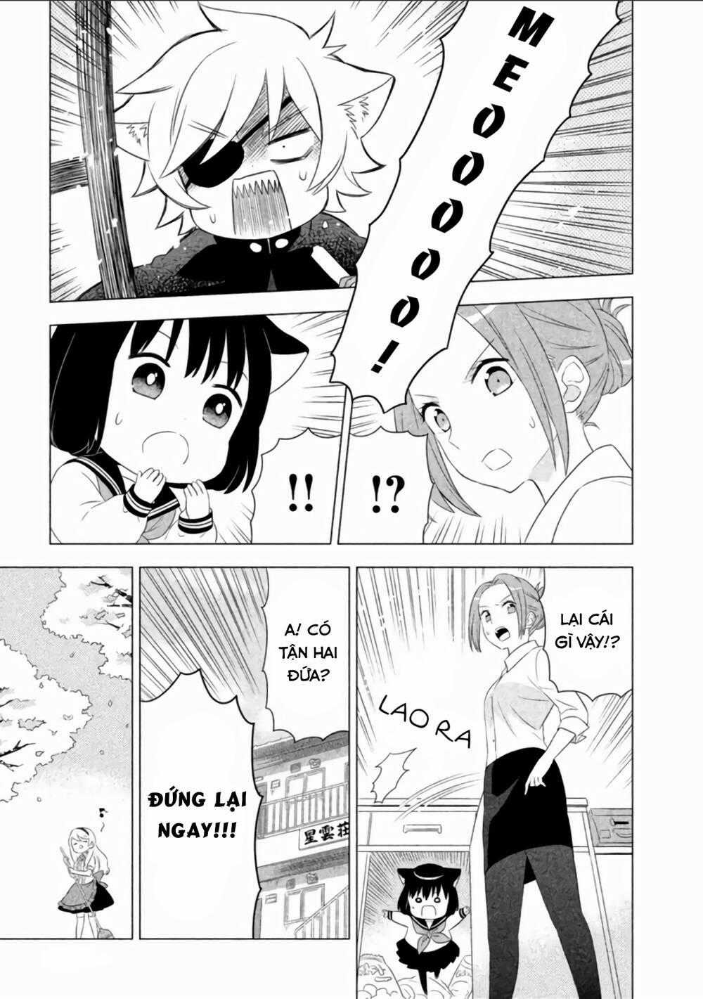 Tớ Là Mèo Kohana Chapter 4 trang 10