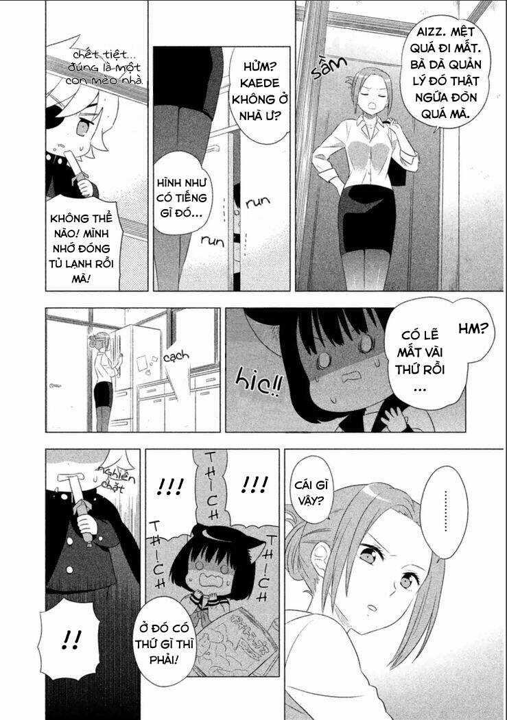 Tớ Là Mèo Kohana Chapter 4 trang 9