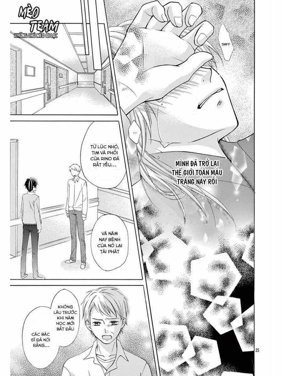 Tớ Muốn Xem Pháo Hoa Cậu Làm Chapter 1 trang 29