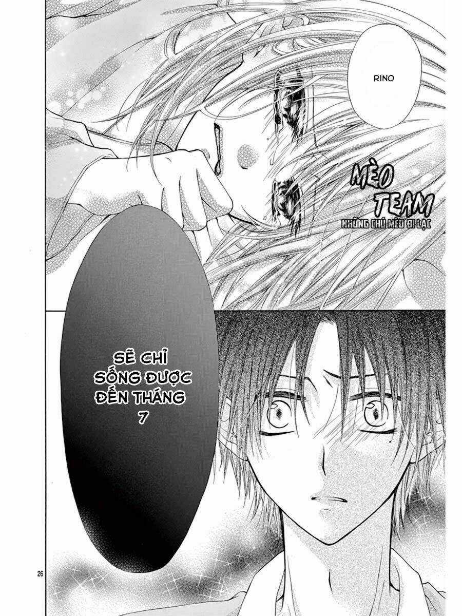 Tớ Muốn Xem Pháo Hoa Cậu Làm Chapter 1 trang 30