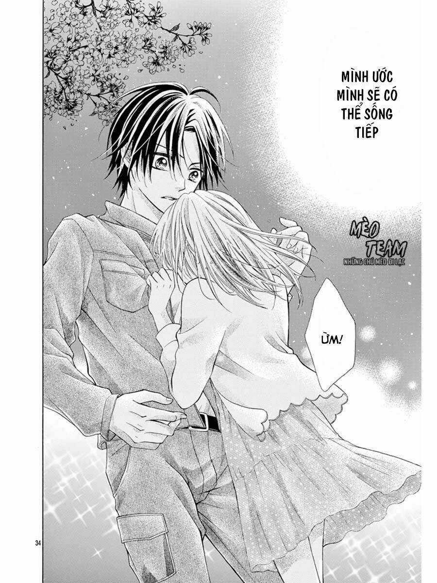 Tớ Muốn Xem Pháo Hoa Cậu Làm Chapter 1 trang 38