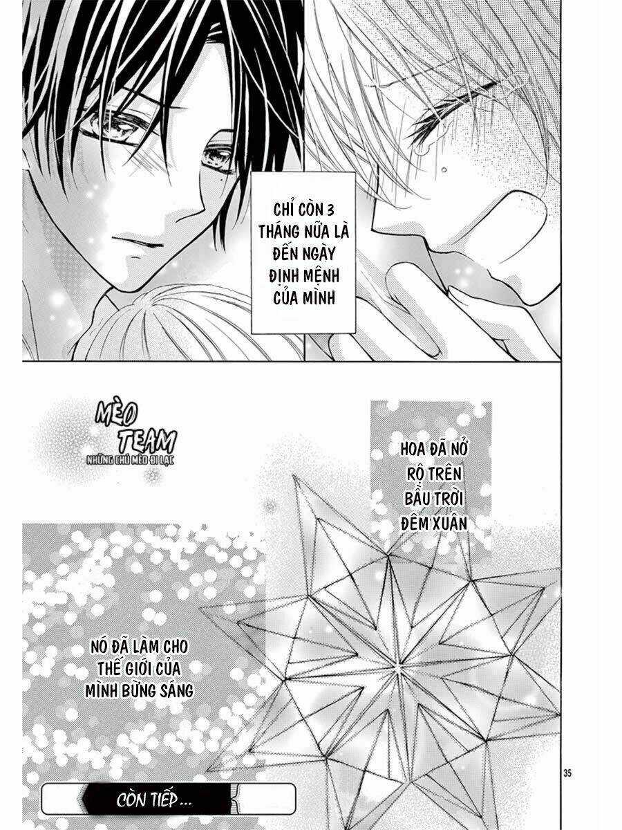 Tớ Muốn Xem Pháo Hoa Cậu Làm Chapter 1 trang 39