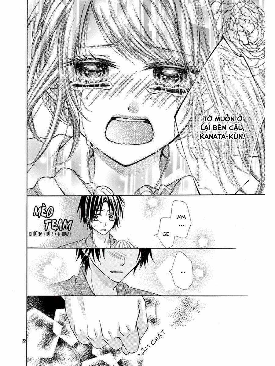 Tớ Muốn Xem Pháo Hoa Cậu Làm Chapter 2 trang 24