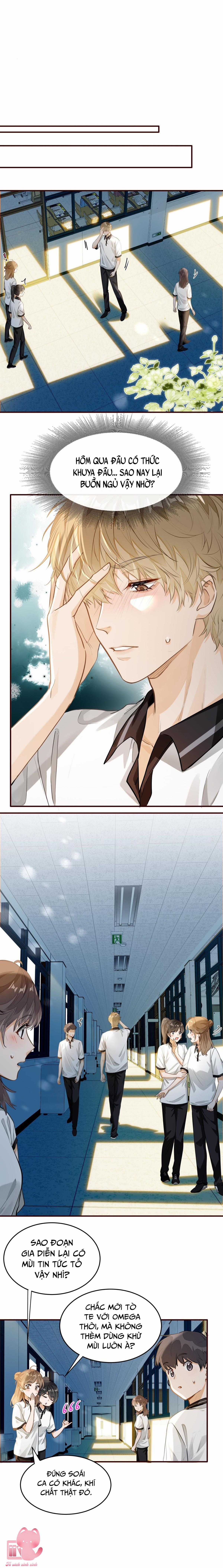 Tớ Thích Tin Tức Tố Của Cậu Chapter 5 trang 2