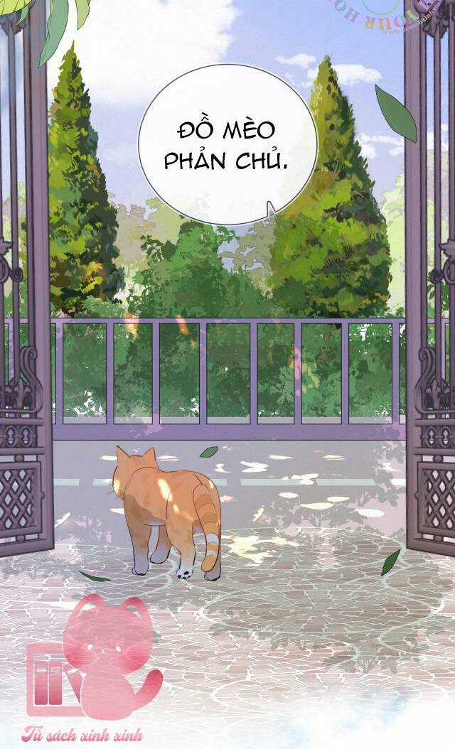 Tỏ Tình Chapter 10 trang 12