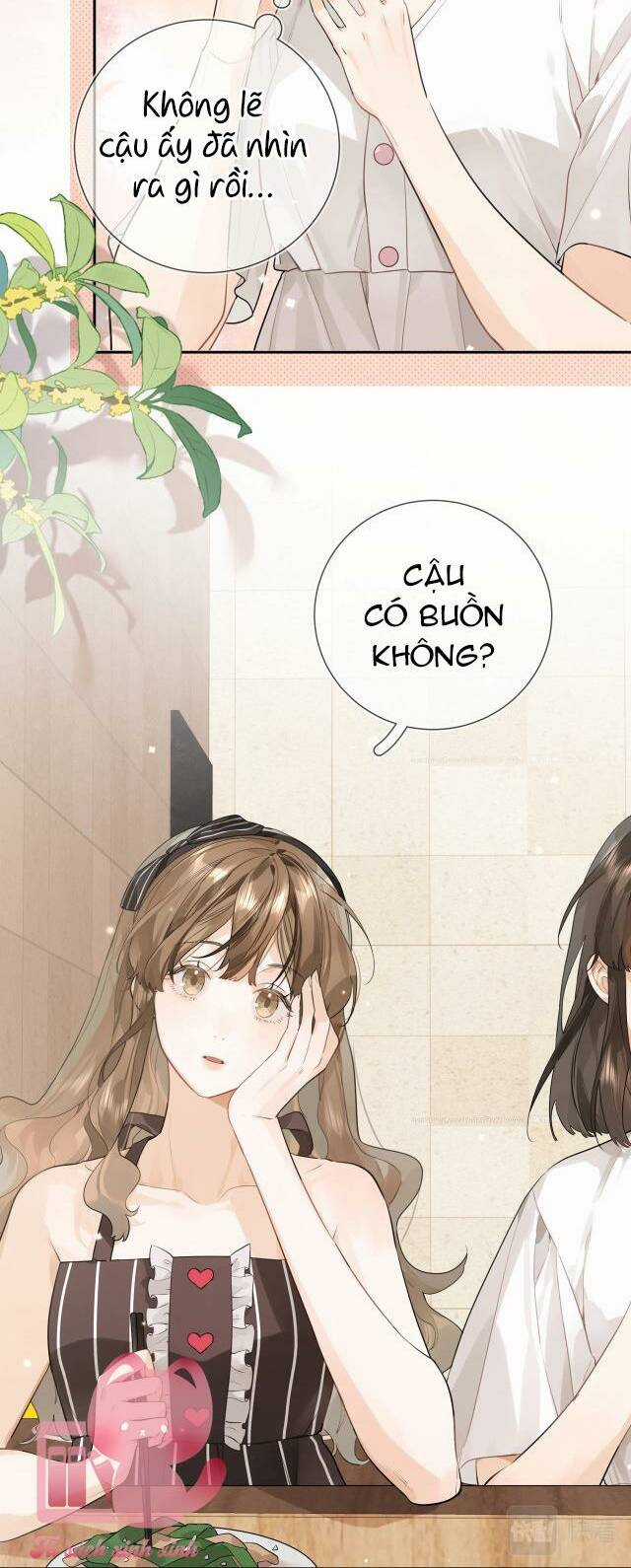 Tỏ Tình Chapter 10 trang 4