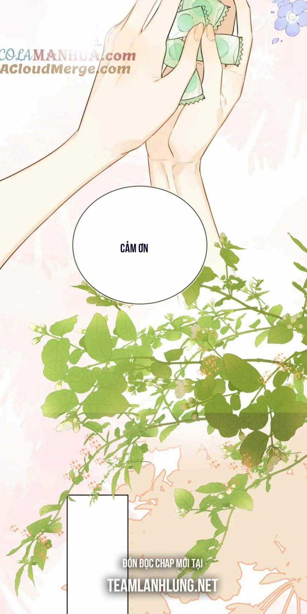 Tỏ Tình Chapter 11 trang 11