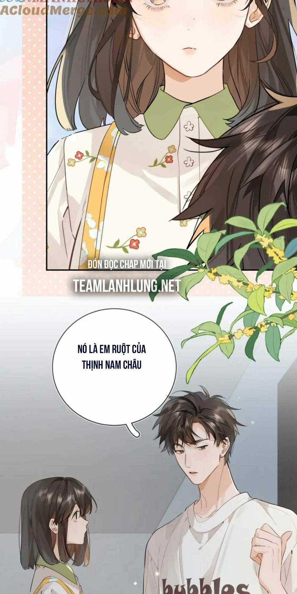 Tỏ Tình Chapter 11 trang 25