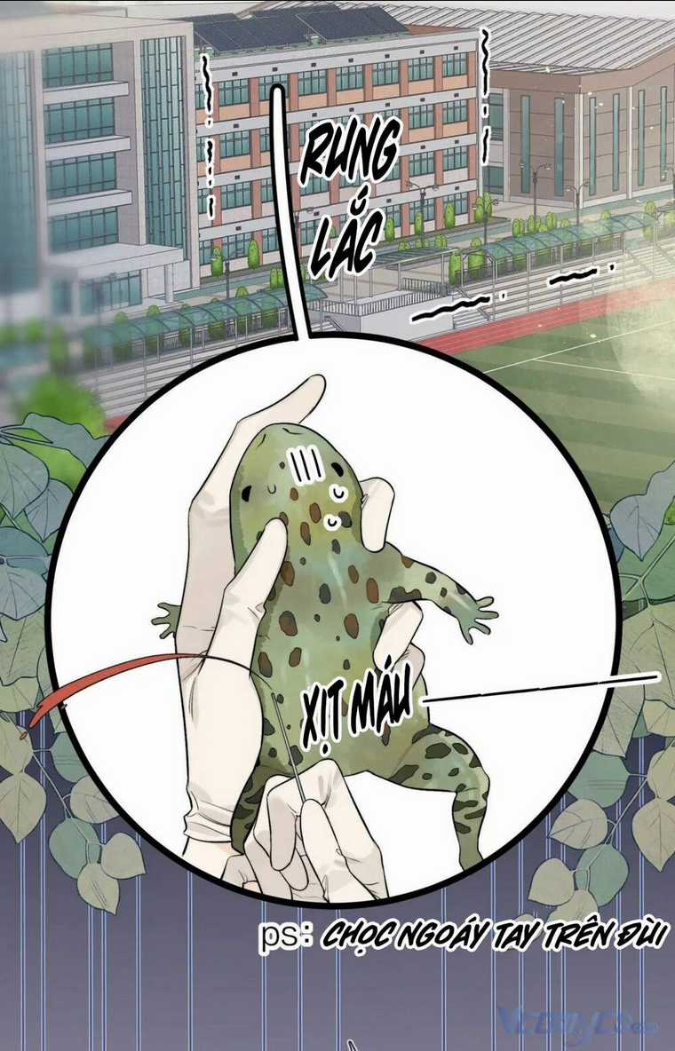 Tỏ Tình Chapter 4 trang 15