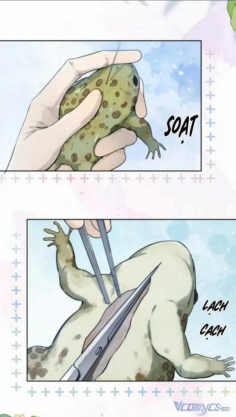 Tỏ Tình Chapter 4 trang 7