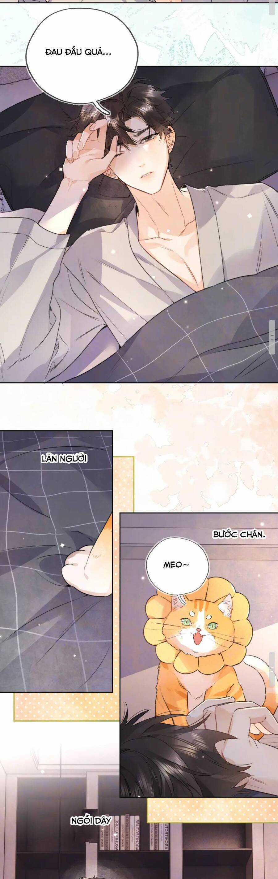 Tỏ Tình Chapter 50 trang 11