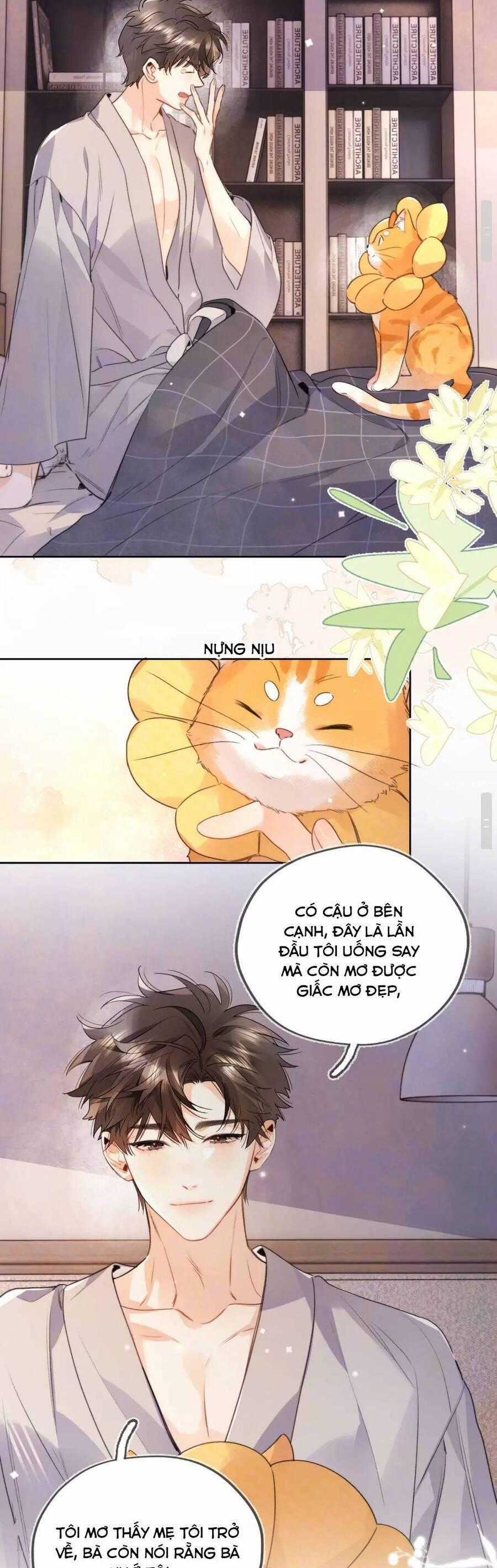 Tỏ Tình Chapter 50 trang 12