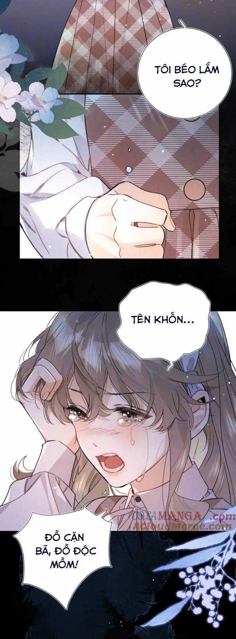 Tỏ Tình Chapter 64 trang 11