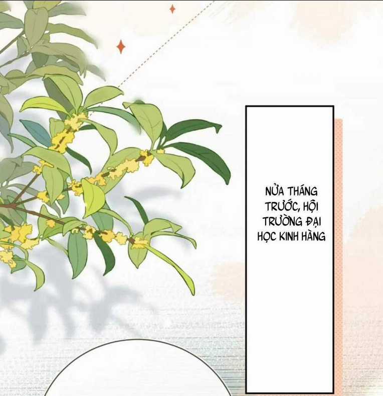 Tỏ Tình Chapter 8 trang 28