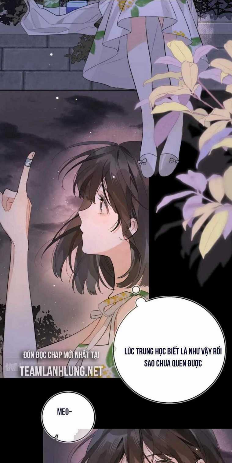 Tỏ Tình Chapter 9 trang 21