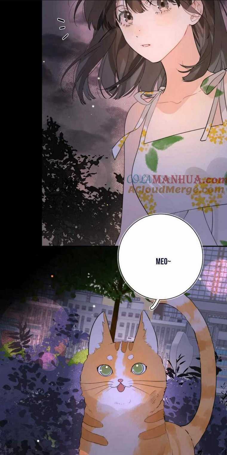 Tỏ Tình Chapter 9 trang 22