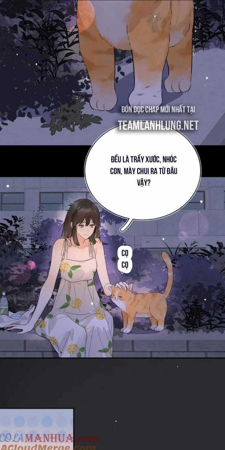 Tỏ Tình Chapter 9 trang 23