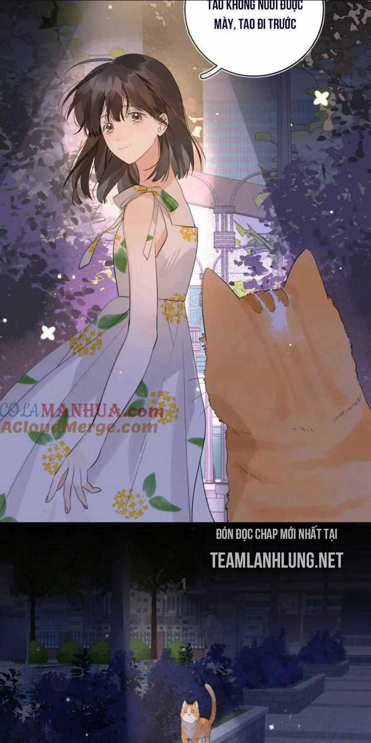 Tỏ Tình Chapter 9 trang 25