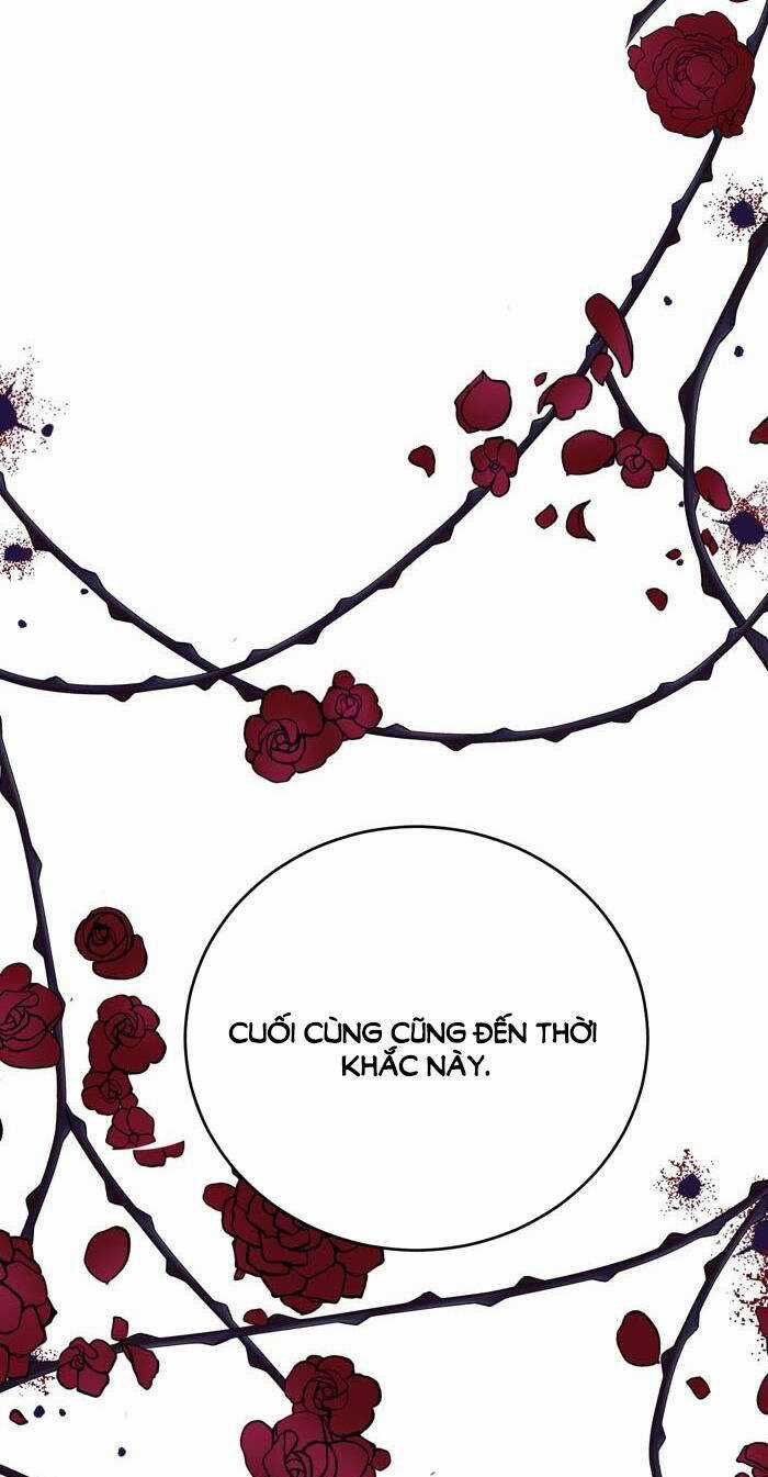 tỏa sáng rực rỡ Chapter 1.1 trang 12