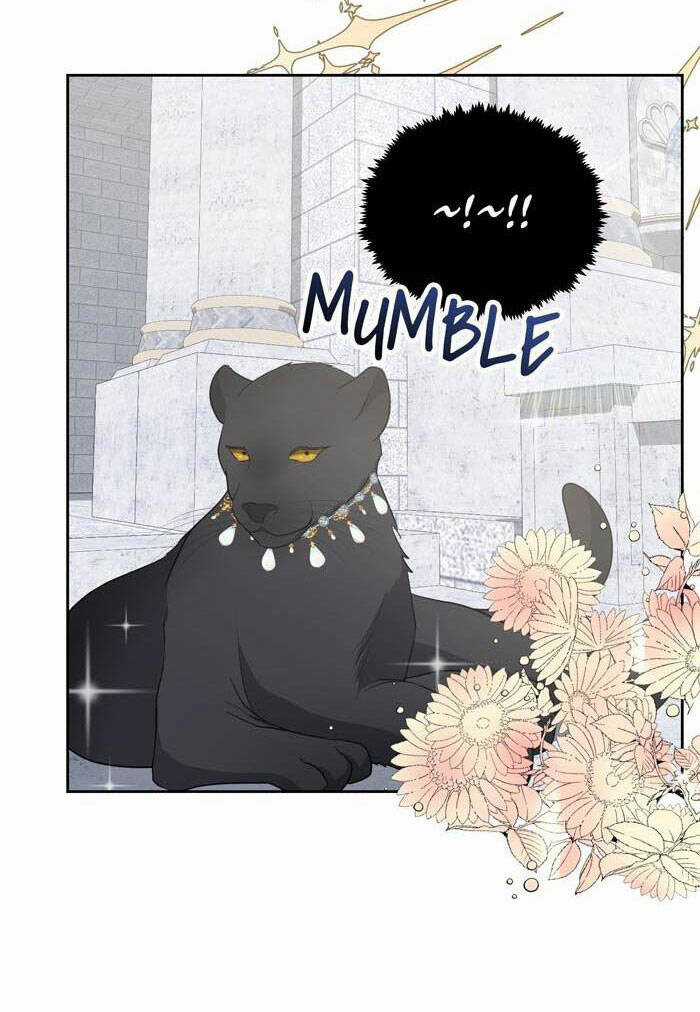 tỏa sáng rực rỡ Chapter 1.1 trang 36