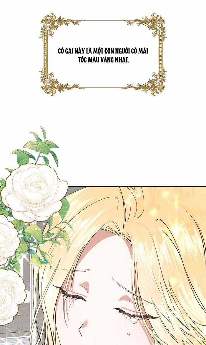 tỏa sáng rực rỡ Chapter 3.1 trang 5