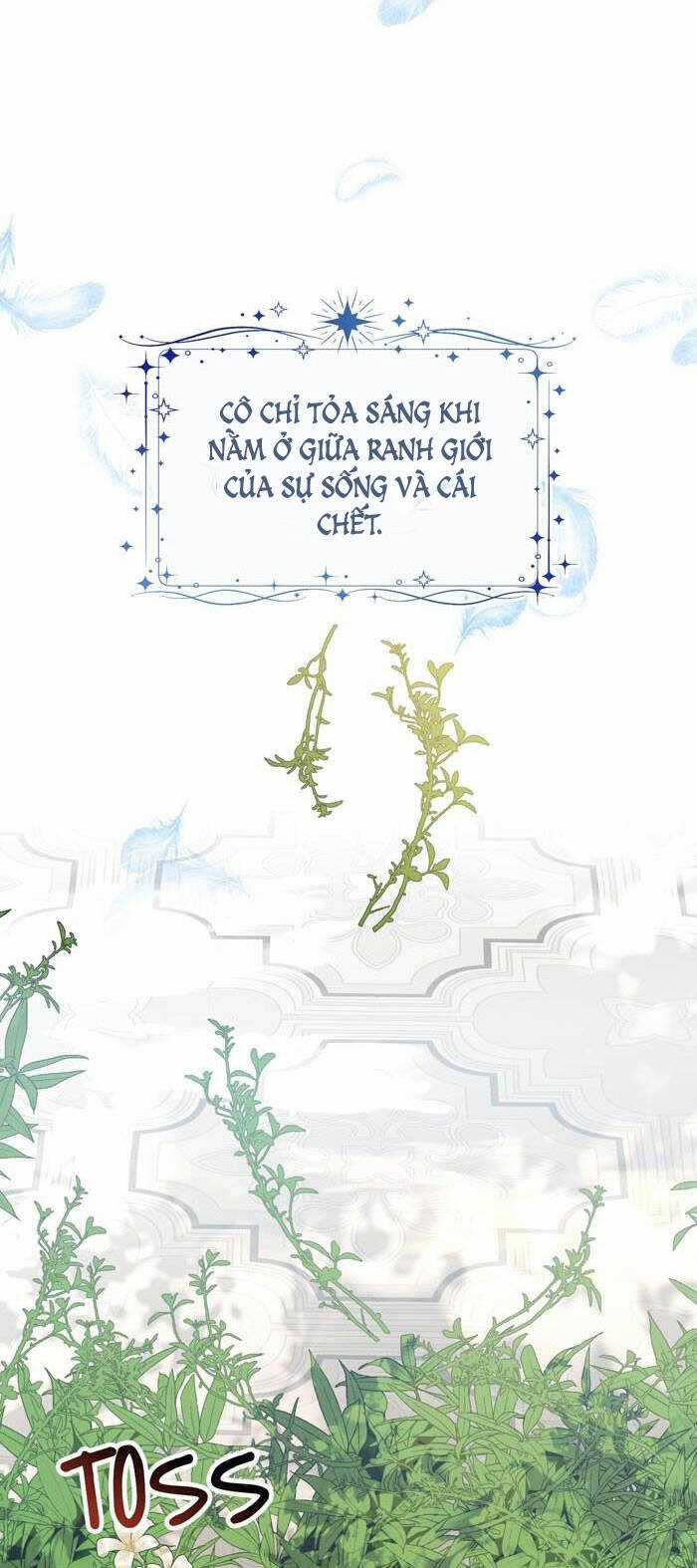 tỏa sáng rực rỡ Chapter 8.1 trang 31