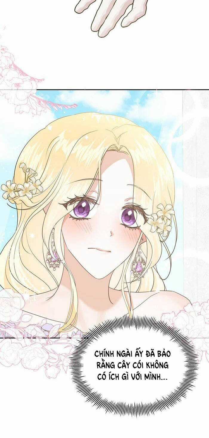 tỏa sáng rực rỡ Chapter 8.1 trang 5