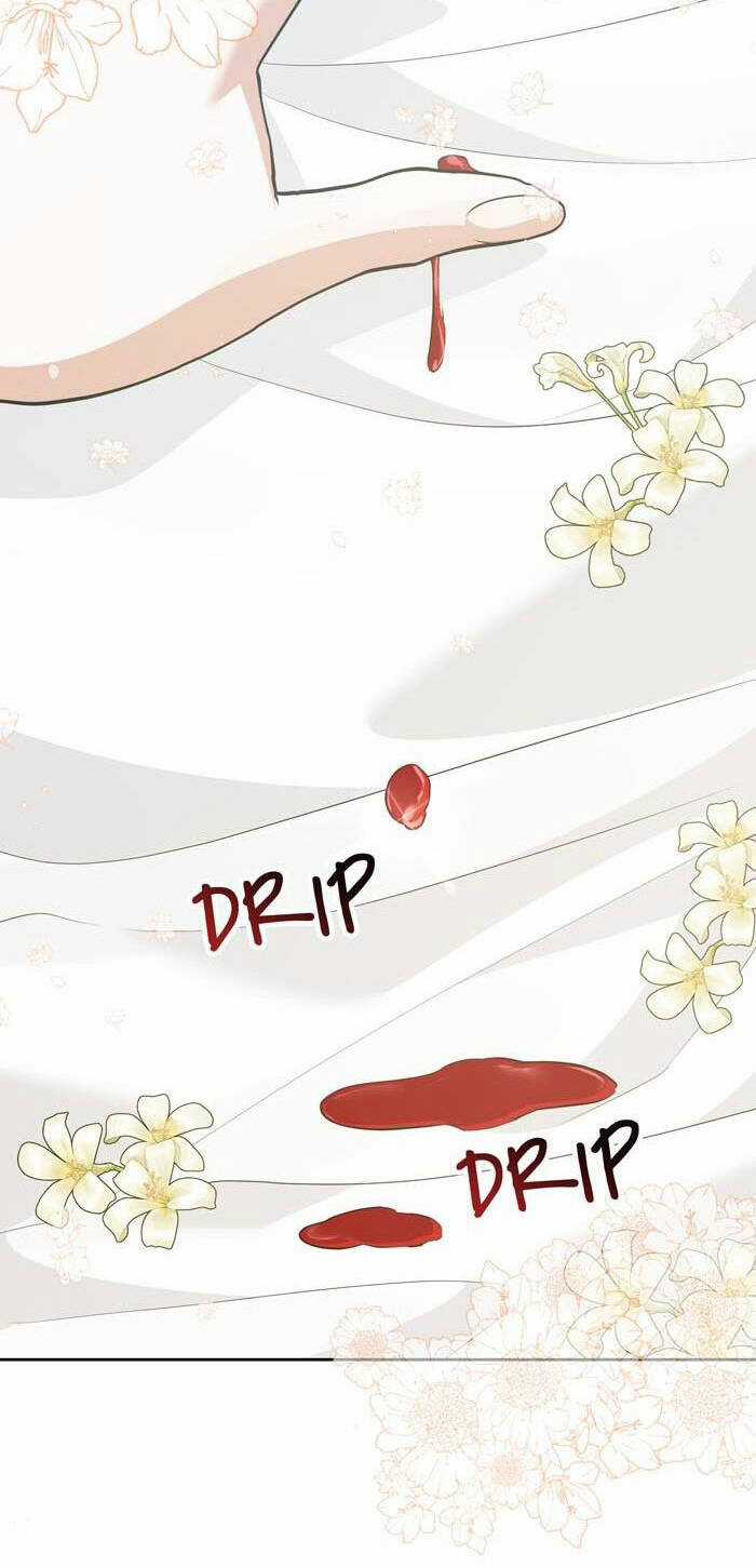 tỏa sáng rực rỡ Chapter 8.2 trang 20