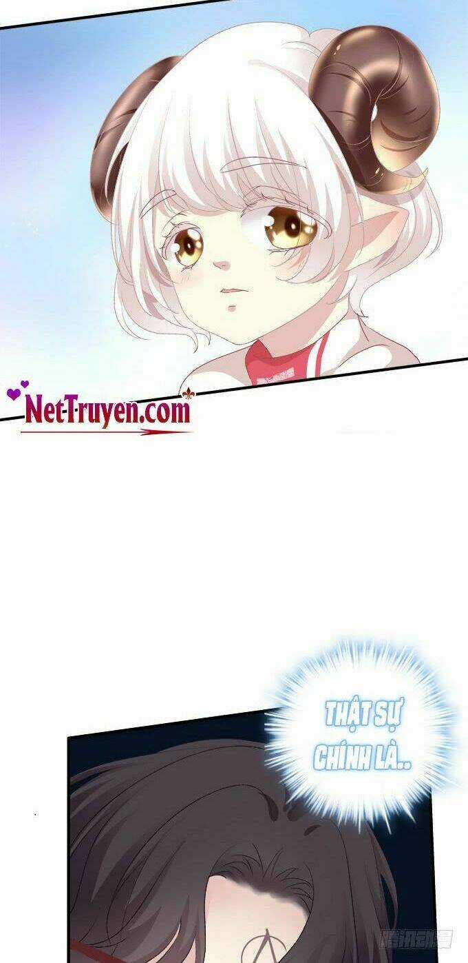 Toàn Bộ Nắm Trong Tay Chapter 1 trang 12