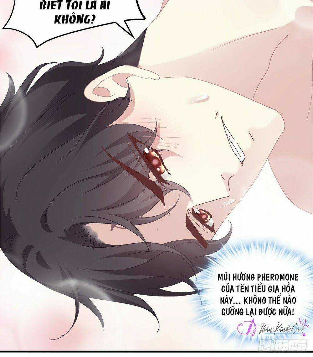 Toàn Bộ Nắm Trong Tay Chapter 25 trang 29