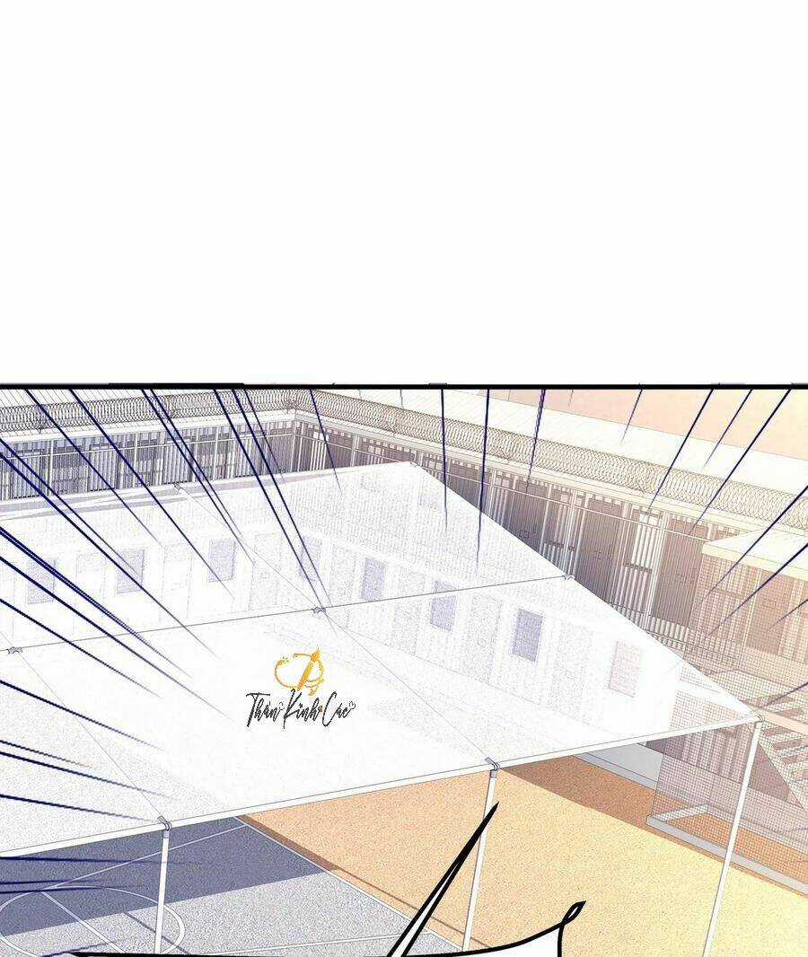 Toàn Bộ Nắm Trong Tay Chapter 80 trang 18