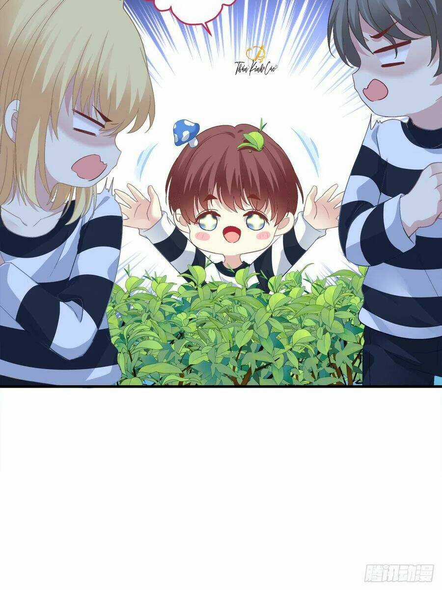 Toàn Bộ Nắm Trong Tay Chapter 80 trang 5