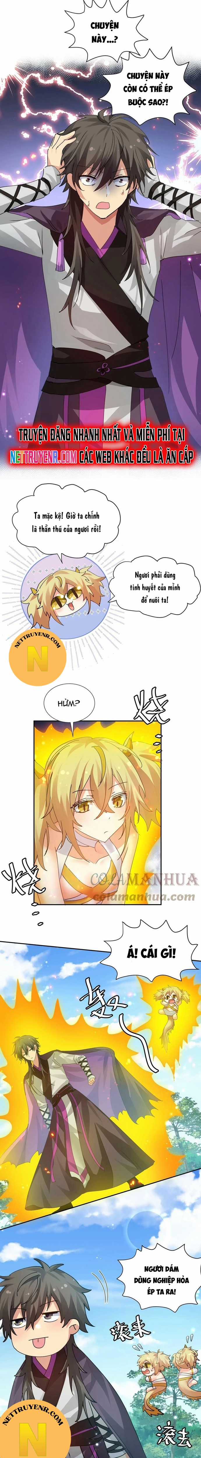 Toàn Bộ Tu Chân Giới Muội Tử Muốn Bắt Ta Chapter 131 trang 3