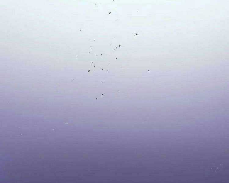 Toàn Bộ Tu Chân Giới Muội Tử Muốn Bắt Ta Chapter 65 trang 54