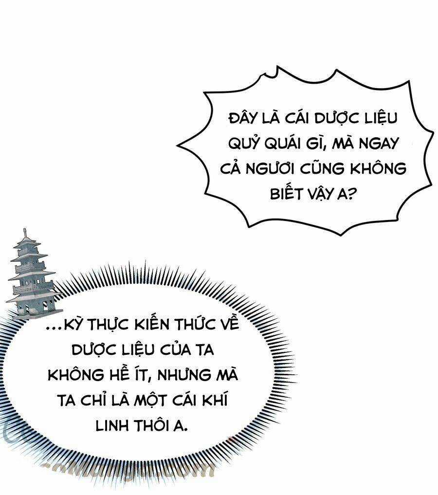 Toàn Bộ Tu Chân Giới Muội Tử Muốn Bắt Ta Chapter 81 trang 1