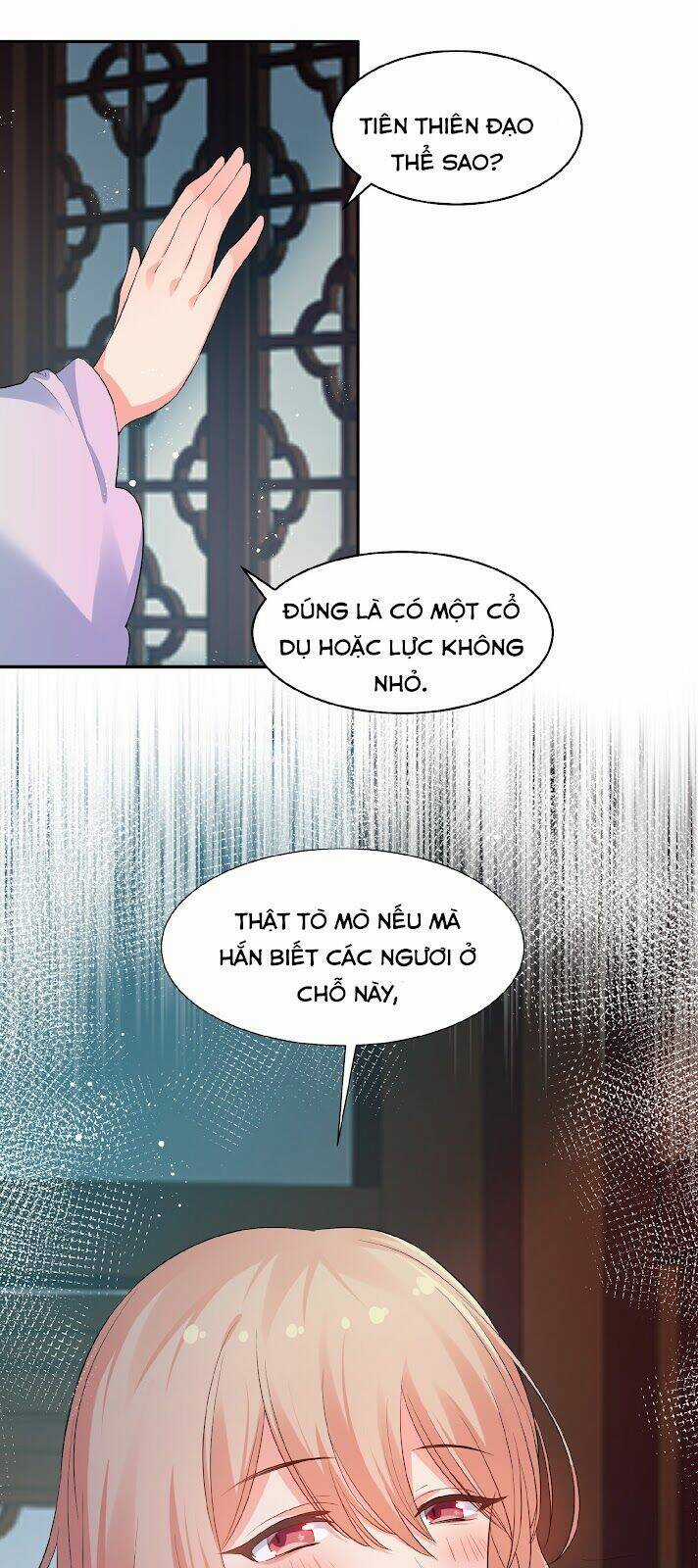 Toàn Bộ Tu Chân Giới Muội Tử Muốn Bắt Ta Chapter 93 trang 19