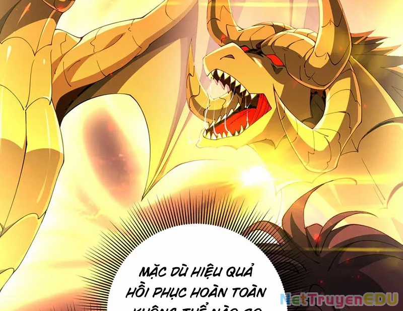 Toàn Dân Chuyển Chức: Ngự Long Sư Là Chức Nghiệp Yếu Nhất? Chapter 97 trang 6