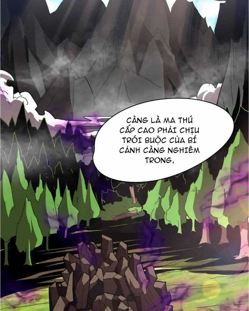 toàn dân chuyển chức: ta thành vong linh quân chủ Chapter 4 trang 12