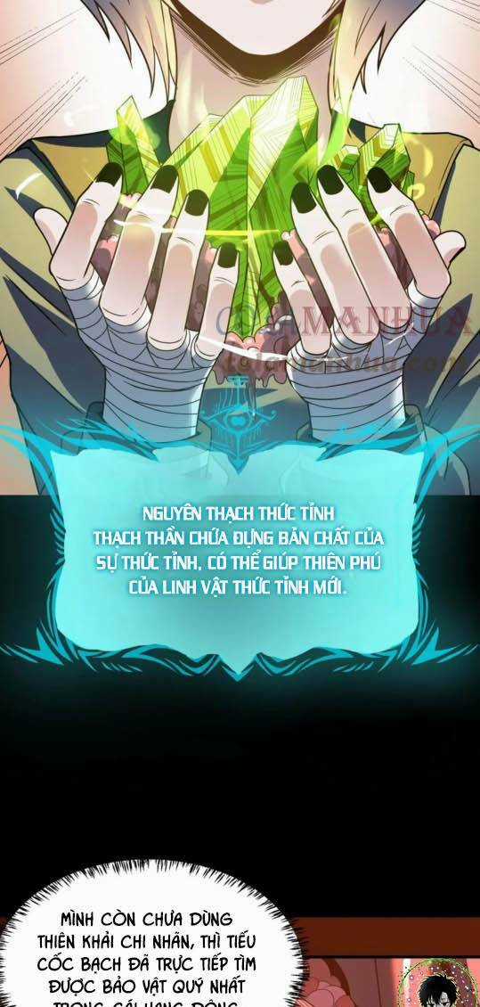 Toàn Dân Ngự Thú: Bắt Đầu Thức Tỉnh Thiên Phú Cấp Thần Thoại Chapter 10 trang 7