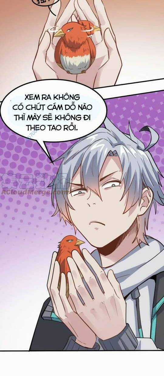 Toàn Dân Ngự Thú: Bắt Đầu Thức Tỉnh Thiên Phú Cấp Thần Thoại Chapter 16 trang 39