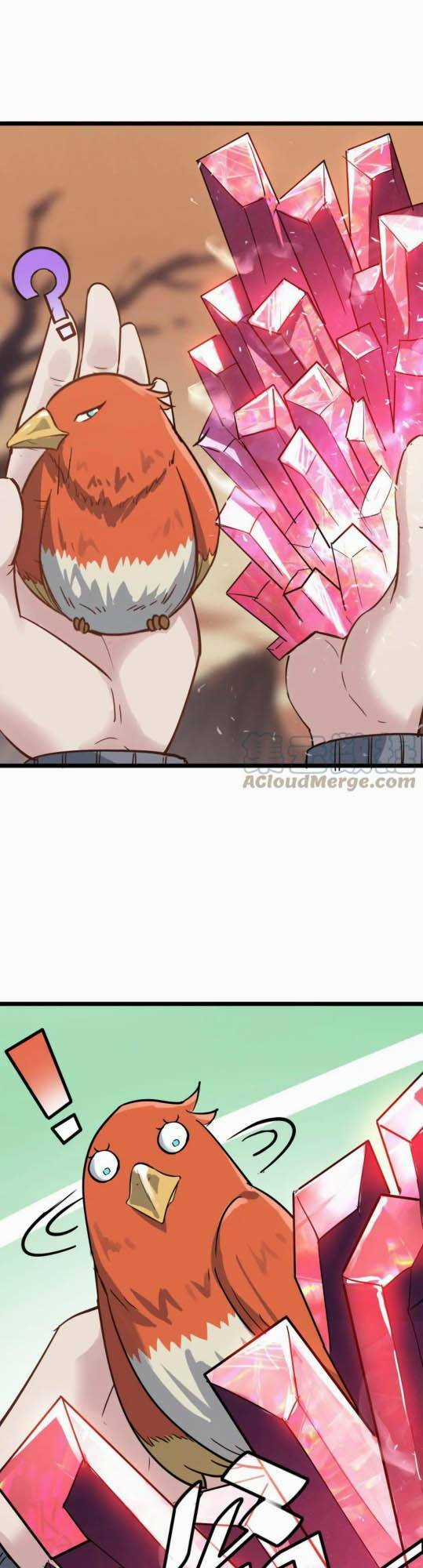 Toàn Dân Ngự Thú: Bắt Đầu Thức Tỉnh Thiên Phú Cấp Thần Thoại Chapter 16 trang 40