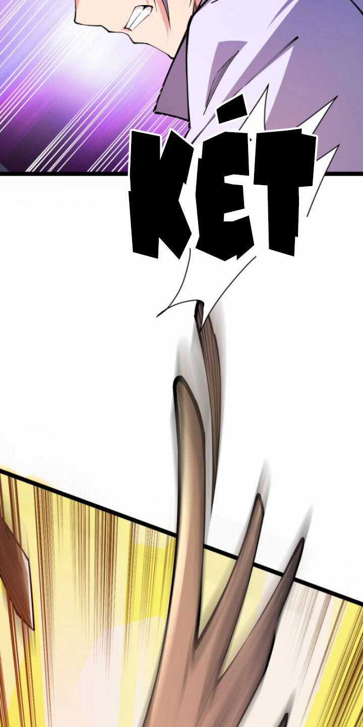 Toàn Thuộc Tính Võ Đạo Chương 10 trang 12