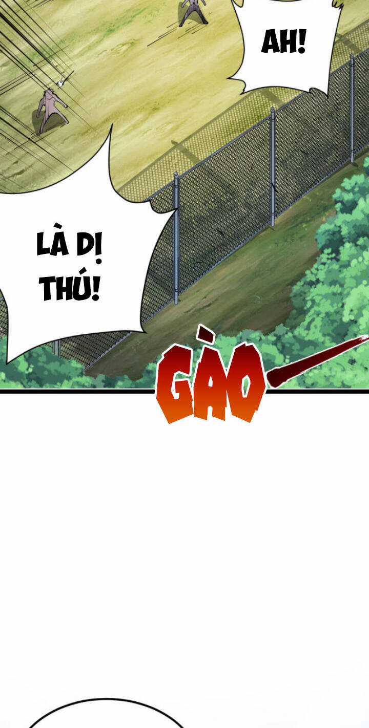 Toàn Thuộc Tính Võ Đạo Chương 17 trang 12