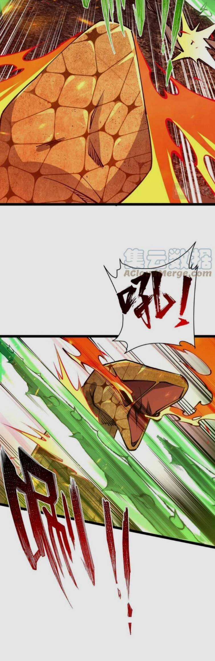 Toàn Thuộc Tính Võ Đạo Chương 21 trang 23